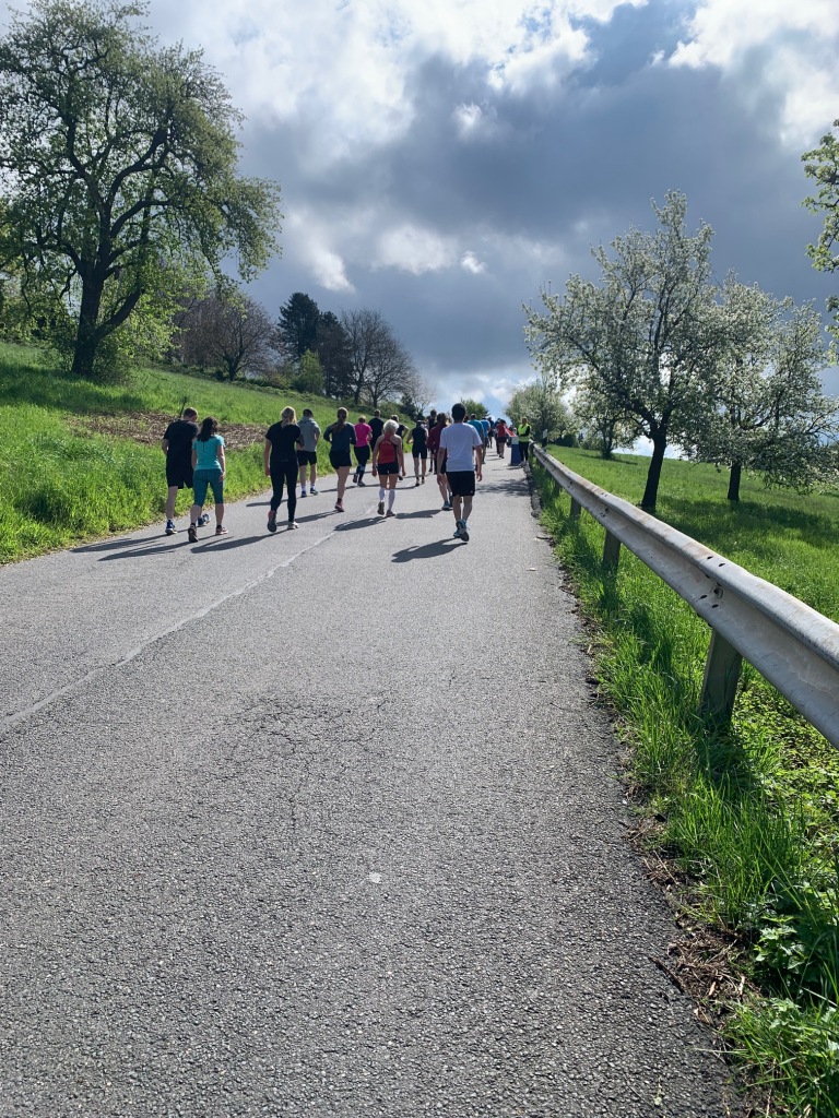 Team höllwerk - SAS Halbmarathon Heidelberg 2023